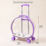 Kitty Go - Transparent Cat Trolley