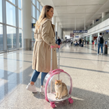 Kitty Go - Transparent Cat Trolley